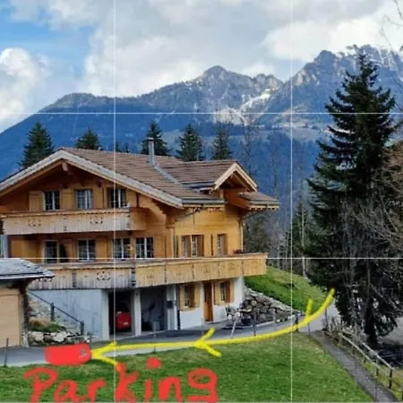 Large Deluxe Studio For 2 - Chalet Lovo Lenk Exterior photo